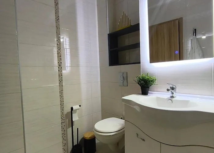 Modern & Cozzy Apartment 3 Room, Dorobantilor *