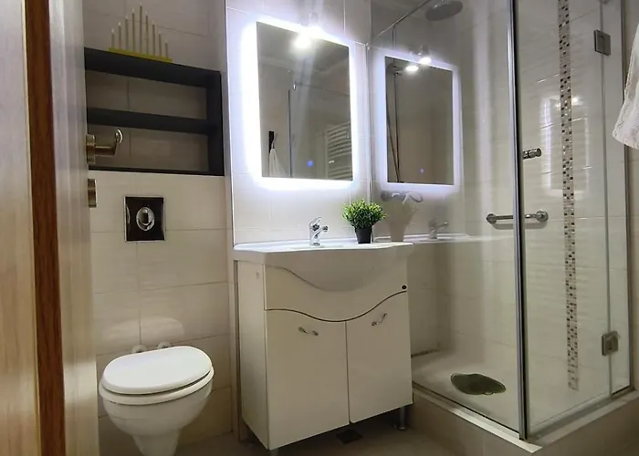 Modern & Cozzy Apartment 3 Room, Dorobantilor Apartment